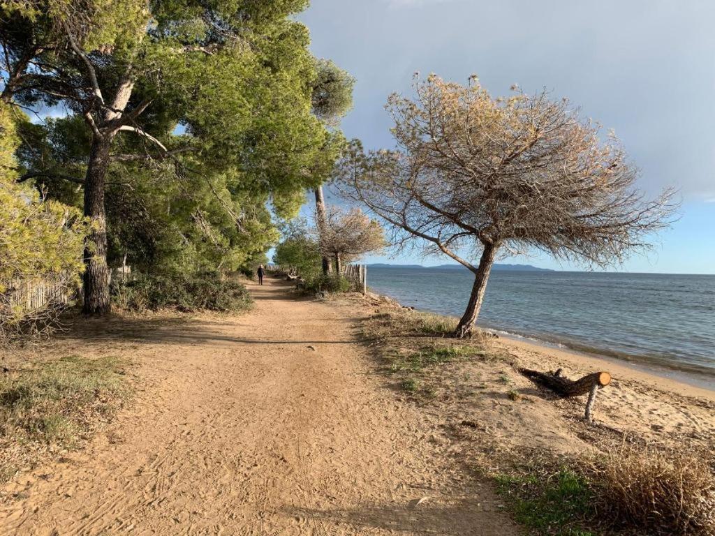 Joli T2 Proche Plage Dans Residence La Londe-les-Maures Zewnętrze zdjęcie